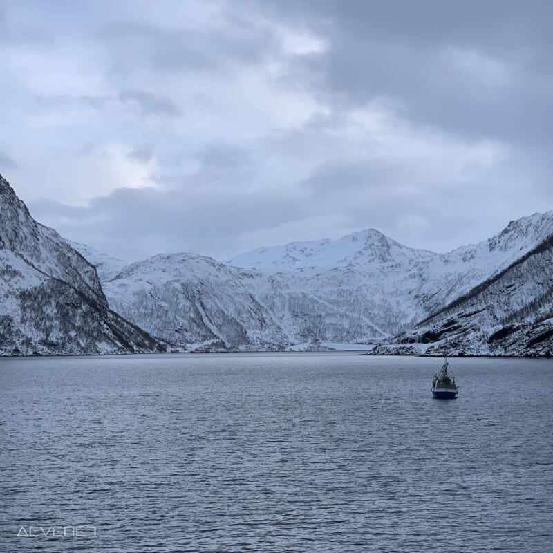 Petit bateau dans un fjord norvégien entre des montagnes enneigées.