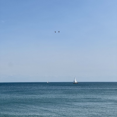 Voiliers naviguant sur les eaux calmes du lac Ontario sous un ciel bleu dégagé avec deux oiseaux.
